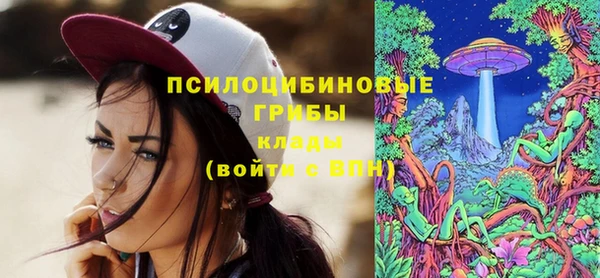 молекула духа Куйбышев