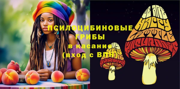 кокс Кукмор
