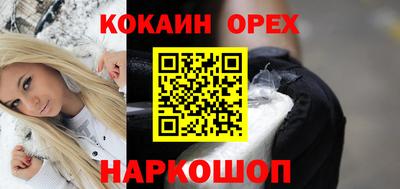 мет Кингисепп