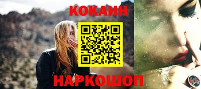 мет Кингисепп