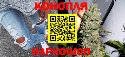 мет Кингисепп