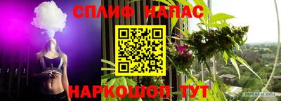мет Кингисепп