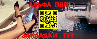 мет Кингисепп