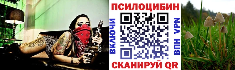 Галлюциногенные грибы мухоморы  Миллерово 