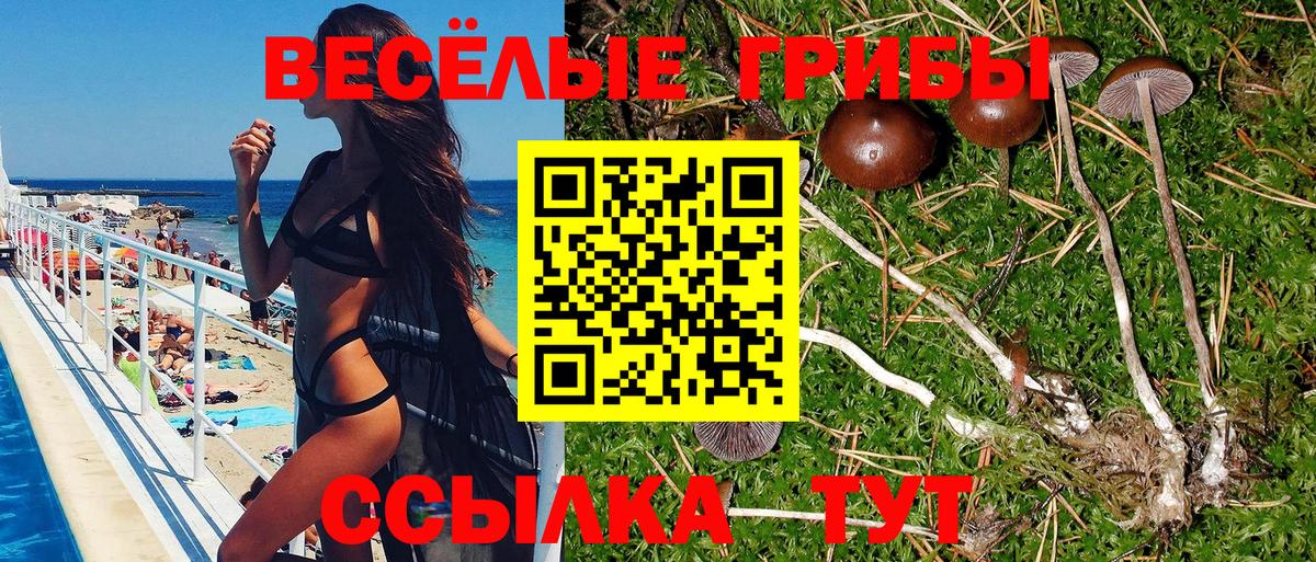 Галлюциногенные грибы прущие грибы  дарнет шоп  Миллерово  Галлюциногенные грибы Cubensis  Вход с VPN 